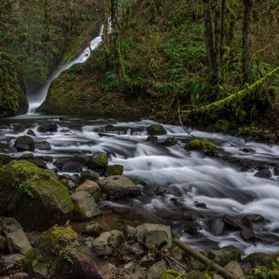 5848vip威尼斯电子游戏手机app下载