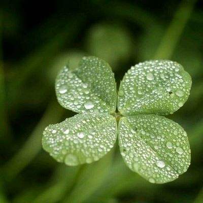 乐鱼游戏app在线登录截图